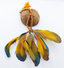 Cargar imagen en el visor de la galería, Amazonian Macaw Feather Earrings