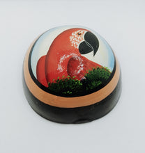 Cargar imagen en el visor de la galería, Amazon Painted Gourd VII
