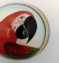 Cargar imagen en el visor de la galería, Amazon Painted Gourd VII
