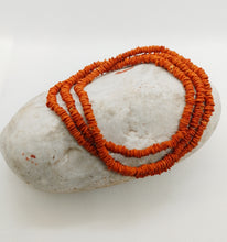 Load image into Gallery viewer, Sateré-Mawé Morototó Seed Necklace/ Bracelet 26&quot;
