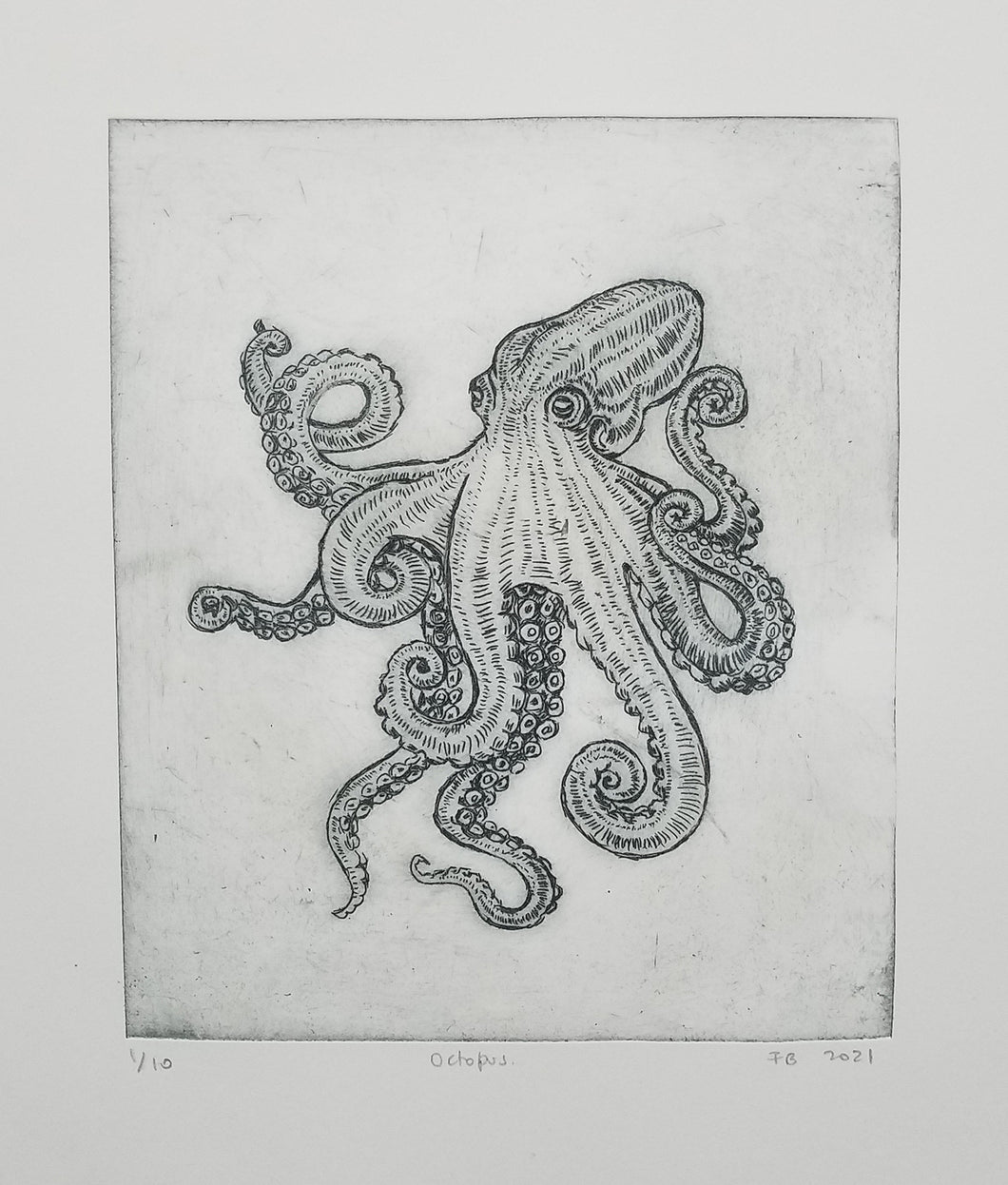 Octopus Print No 37